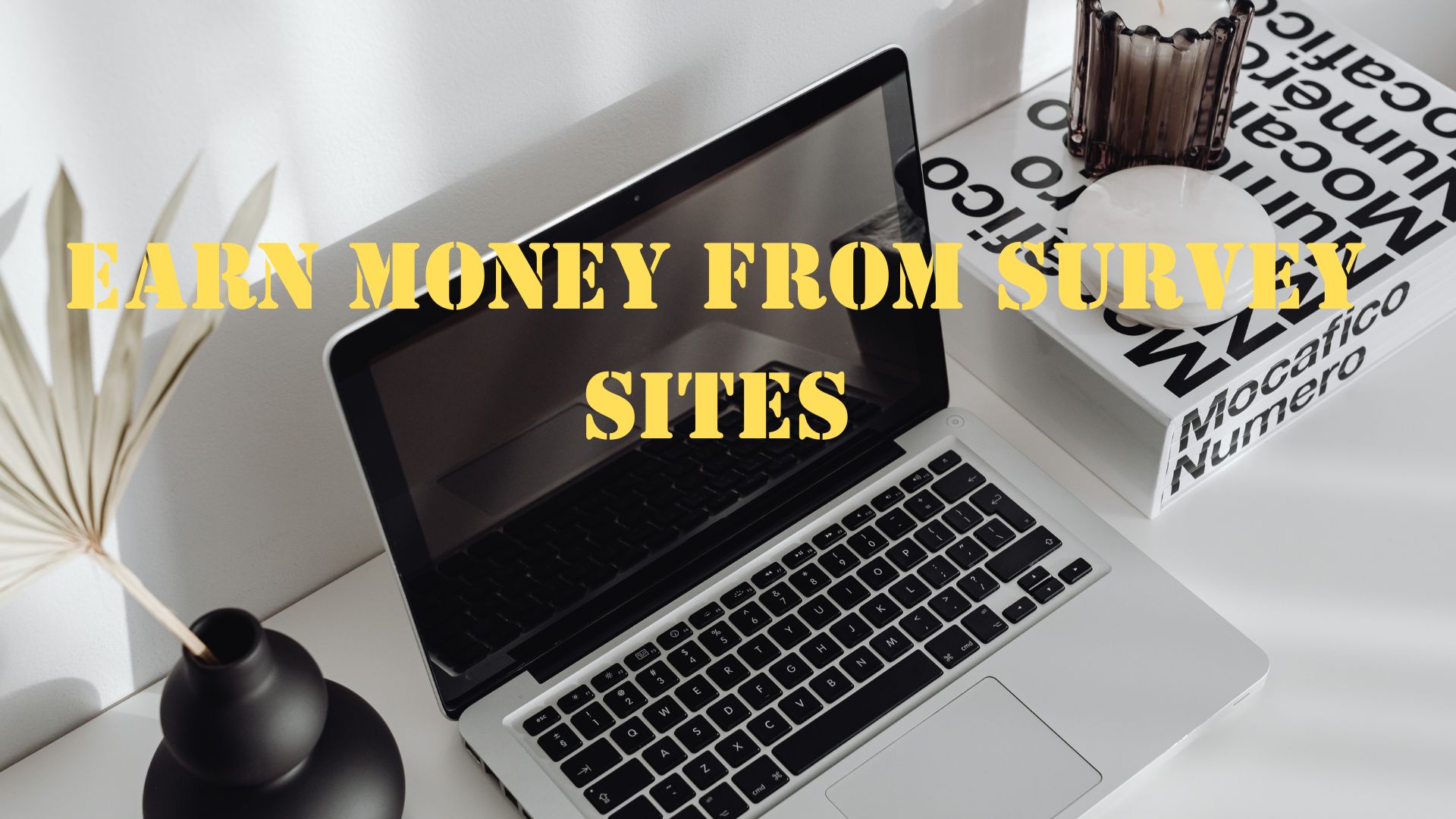 Earn money from survey sites